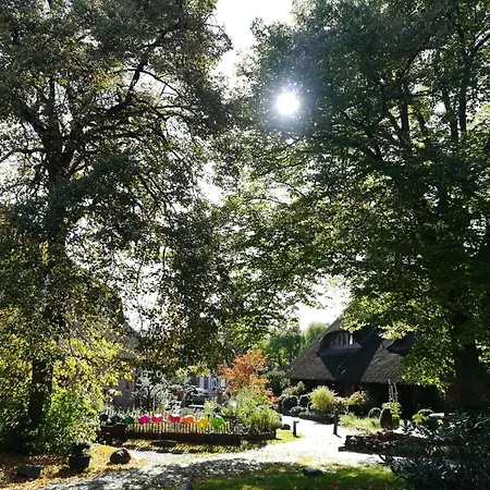 Apartament Gh Superior Ii-vi 12